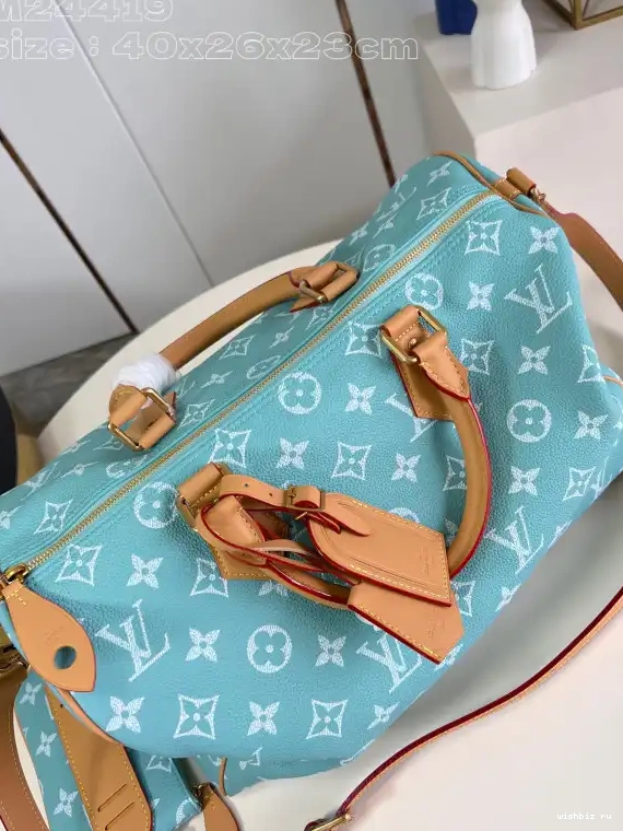 WIS SPEEDY Louis Vuitton 40 0704